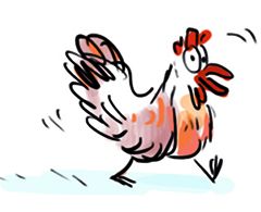 zelda zonk - compagnies